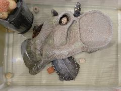 -浣熊柯尔鸭土拨鼠·电玩咖
