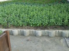 -龙塔