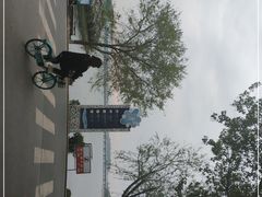 -丁香湖公园