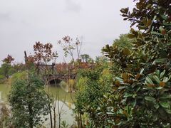 -洪湖悦兮半岛国际温泉度假村