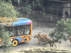 -大连森林动物园