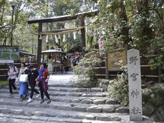 -野宫神社
