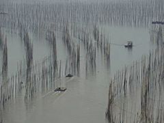 -北岐滩涂