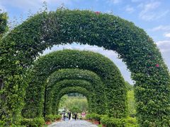 -东莞植物园