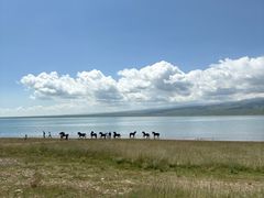 -青海湖国家重点风景名胜区