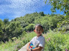 -白草畔自然风景区