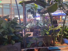 -桂满陇·蟹黄小笼汤包(清河万象店)