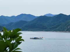 -望湖烤鱼
