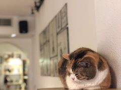 -隅cafe(傅厚岗店)