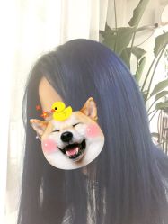 -CHIC 国潮男士发型