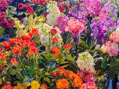 -循礼门鲜花花市(武汉循礼门店)