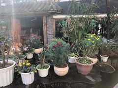 -乡村小榭饭店