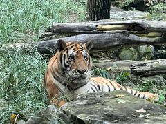 -北京野生动物园