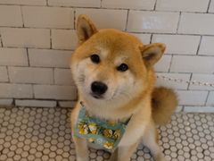-大水的店(昙华林店)