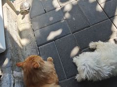 -后海16号·北京私房菜