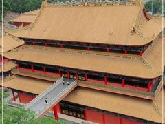 -东莞市大岭山森林公园