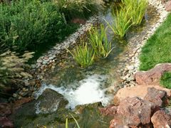 -武清南湖绿博园