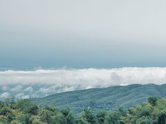 -蜀南竹海景区