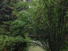 -龙水峡地缝景区