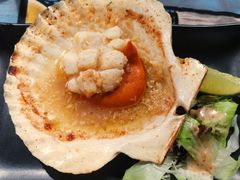 碳烤深海大元贝/只-1218 GRILL 主厨