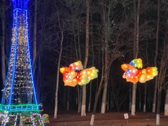 -青龙湖公园