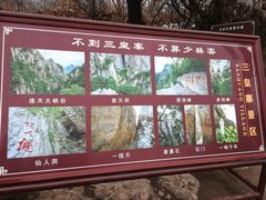 -嵩山少林文化旅游景区