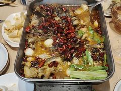 -鱼酷活鱼烤鱼(沈阳大悦城店)