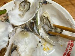 -福苗小骆驼烧烤(莲湖路店)