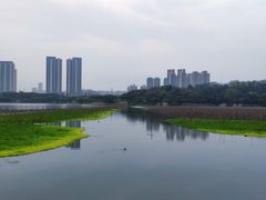 -月湖风景区
