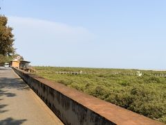 -北海金海湾红树林生态旅游区