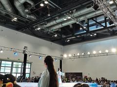 -IJOY漫展xCGF游戏节—国家会议中心