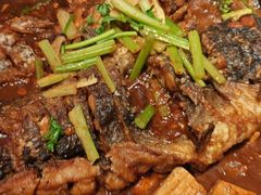 -老板恋上鱼(恒隆广场店)