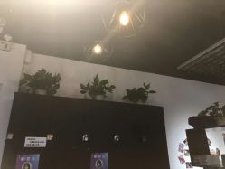 -魔型社