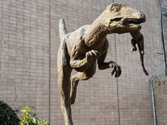 -自贡恐龙博物馆