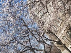 -辽宁大学(崇山校区)