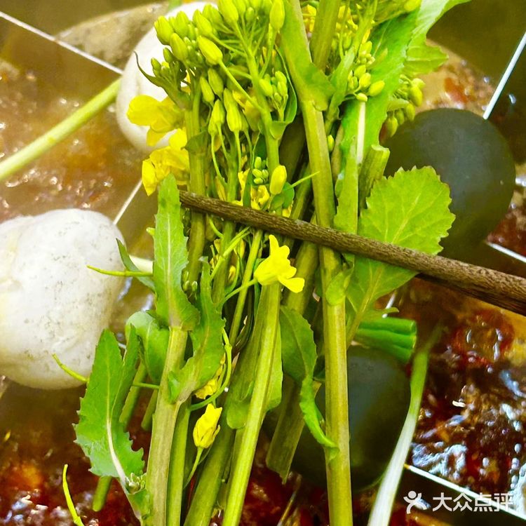 这才是杭州火锅该有的样子‼️把春天吃进嘴巴里......