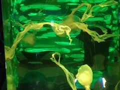 -郑州海洋馆