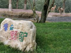 -北京野生动物园