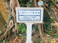 -东望洋炮台东望洋灯塔