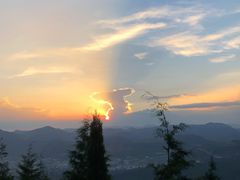 -长虫山生态公园风景林