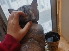 -H立方实景剧情密室(天河旗舰店)