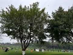 -重庆中央公园(渝北区)