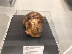 -北京周口店北京人遗址博物馆