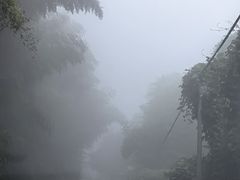 -綦江古剑山