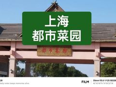 -上海都市菜园
