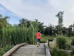 -南京市无想山景区