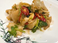 凉拌螺片-宜兴隆家宴·私房菜(泰安华庭店)