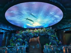 -陕西自然博物馆