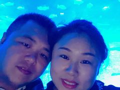 -烟台海昌鲸鲨海洋公园