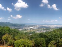 -岚山猴子公园